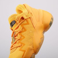 Кросівки баскетбольні ADIDAS D.O.N. ISSUE 2 (FW8518) 42,5 EU 4